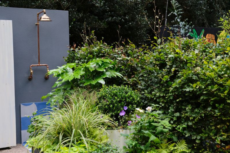 Professional Consultation